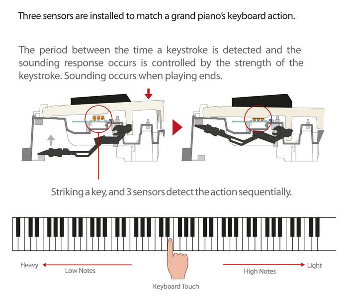 Casio PX-160 Keyboard Action