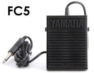 USB 2.0 Cable For Yamaha P-125 P-45 DGX-660 P-121 Roland FP-30