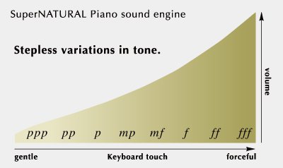 FP-10-BKKSH - PIANO ROLAND - AVEC SUPPORT - Centre Musical de