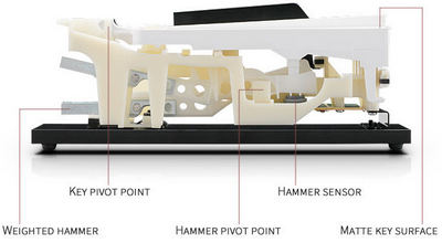 hammer action digital piano