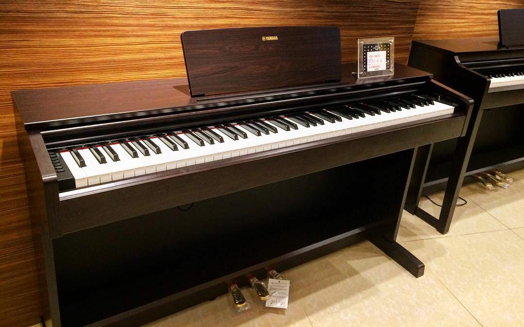 Best Digital Pianos Under 1,000 for Home Use (Feb. 2022)