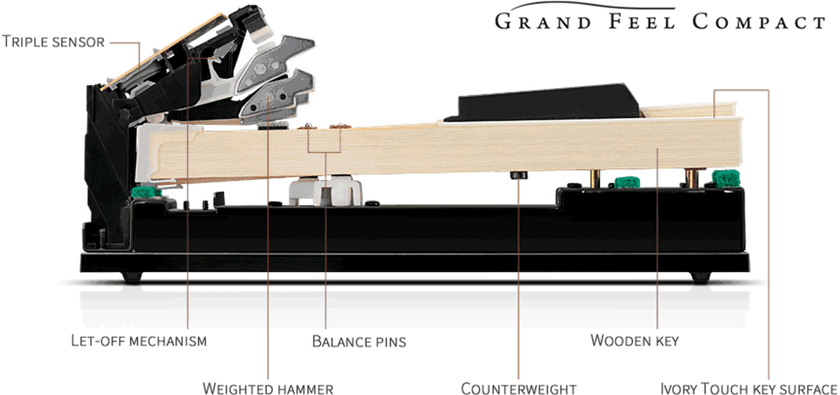 Kawai Grand Feel Compact action