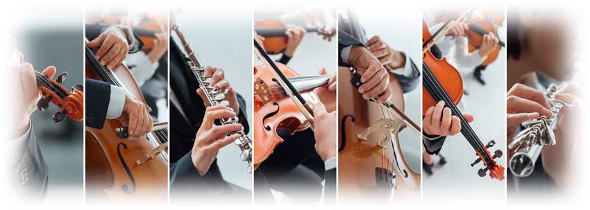 string orchestra instruments