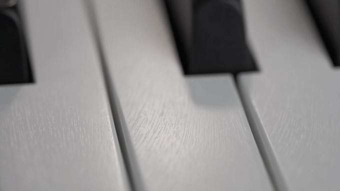 Roland PHA-4 Standard keyboard texture