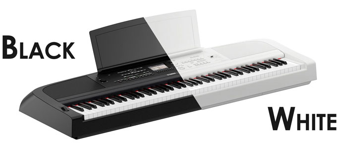 Piano hybride Clavier arrangeur DGX670 YAMAHA